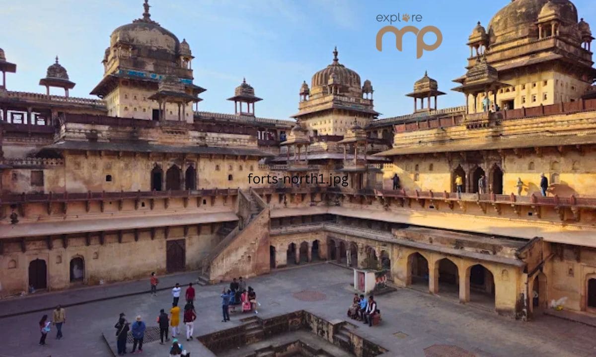 Gwalior Fort Orchha palaces and Khajuraho temples northern Madhya Pradesh tour